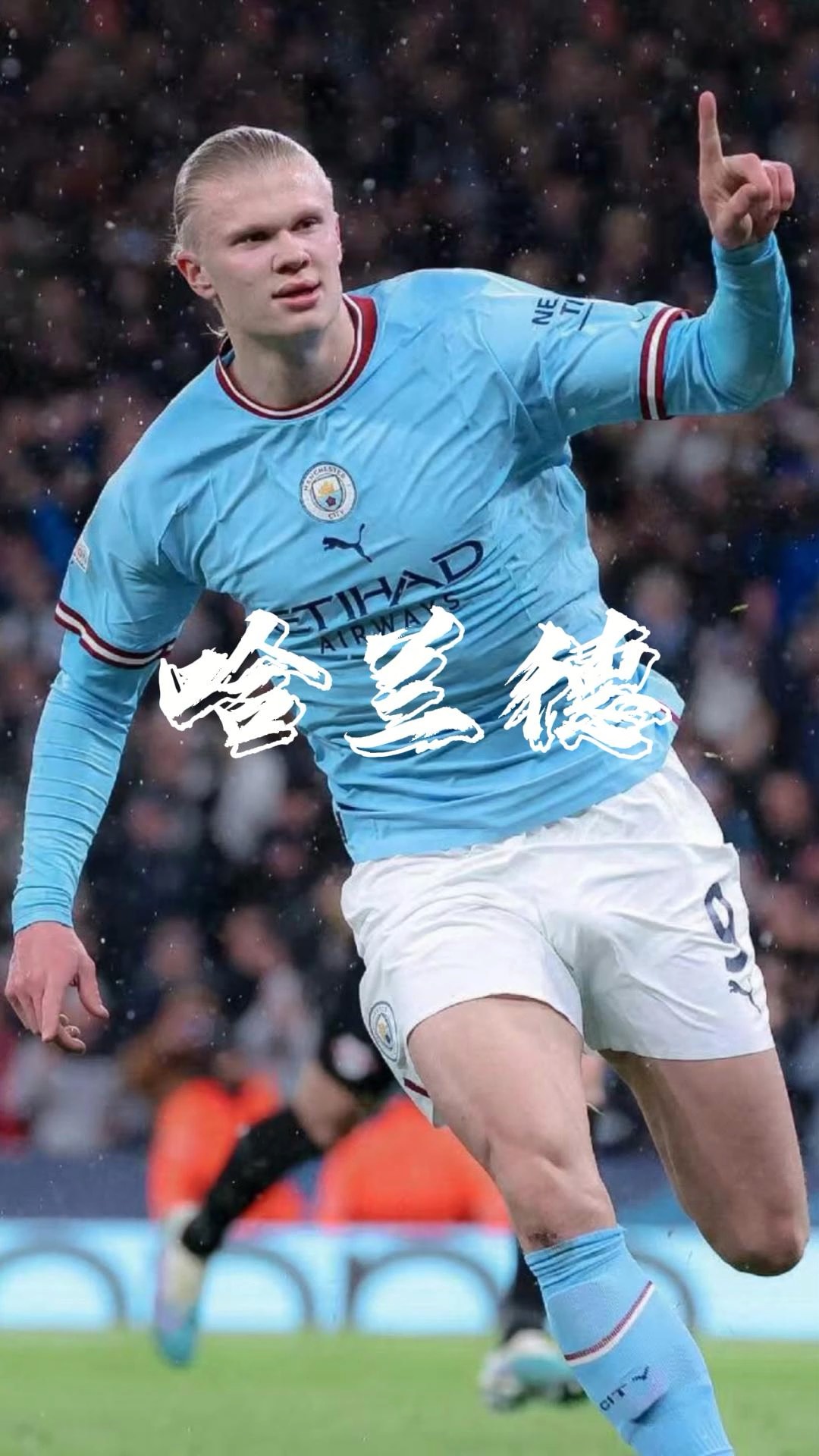 9球 9球